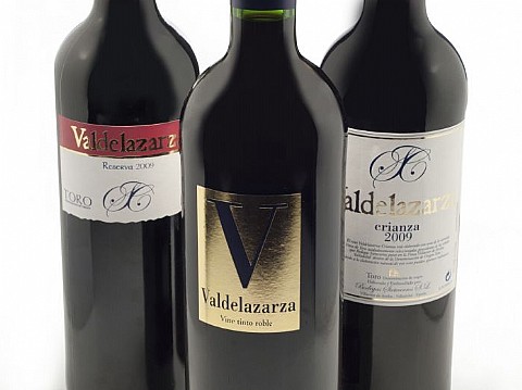 Valdelazarza Roble 2023