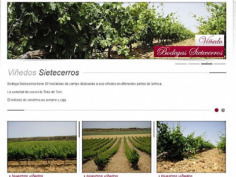 Bodegas Sietecerros